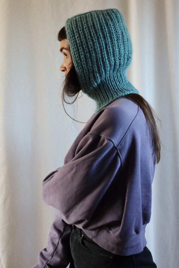 Hiemal Hoodie - Image 4