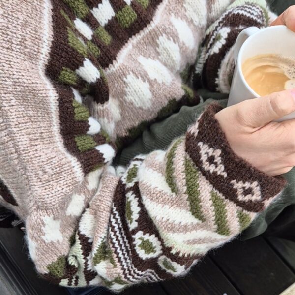 Bjorg sweater - Image 11