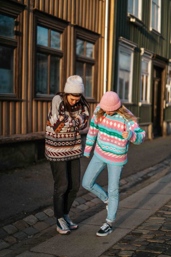Bjorg sweater - Image 6